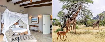 holiday package holiday accommodation