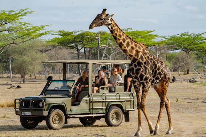 A Magical Family Safari in Tanzania: Celebrate Christmas & New Year in the Heart of Arusha&rsquo;s Wild Beauty