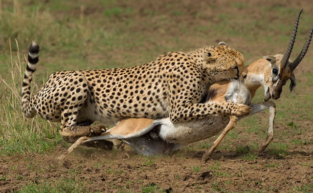 Discover the Best Tropical Vacation in December: Explore Tanzania&rsquo;s Wonders from Arusha