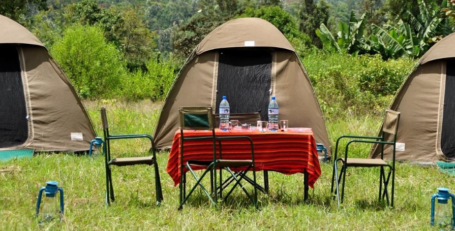 Budget Safari Holidays: Authentic Wildlife and Adventure at Great Value Budget Safari Holidays: Authentic Wildlife and Adventure at Great Value