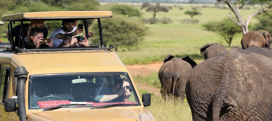 Exploring Tanzania&rsquo;s Majestic National Parks: Arusha, Tarangire, Serengeti, Ngorongoro, and Manyara