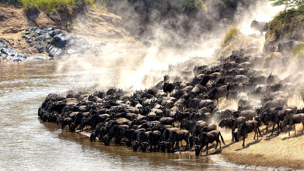 Exploring Tanzania&rsquo;s Majestic National Parks: Arusha, Tarangire, Serengeti, Ngorongoro, and Manyara