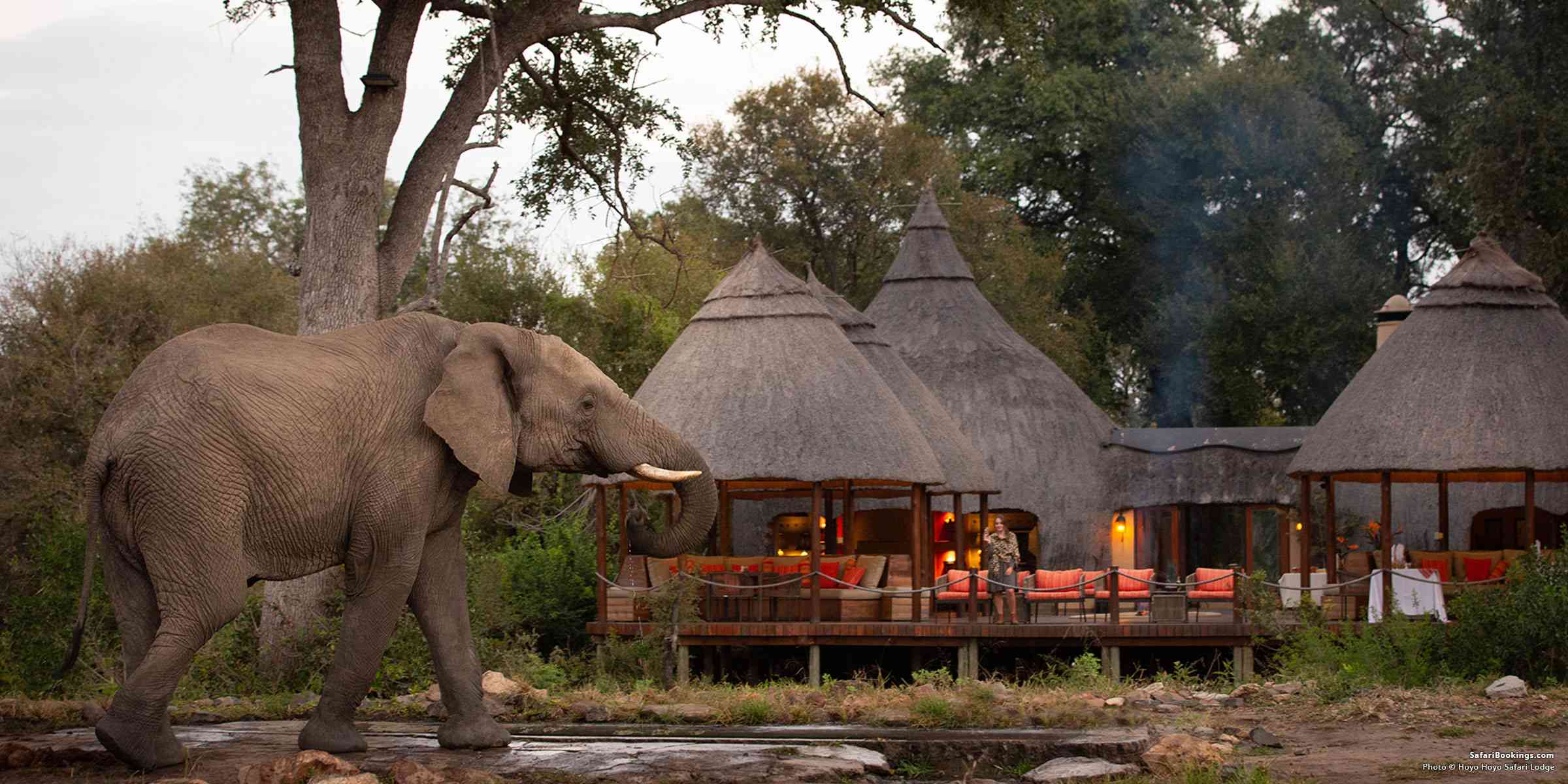 Exploring Arusha: Your Ultimate Travel Guide to Tanzania&rsquo;s Safari Hub