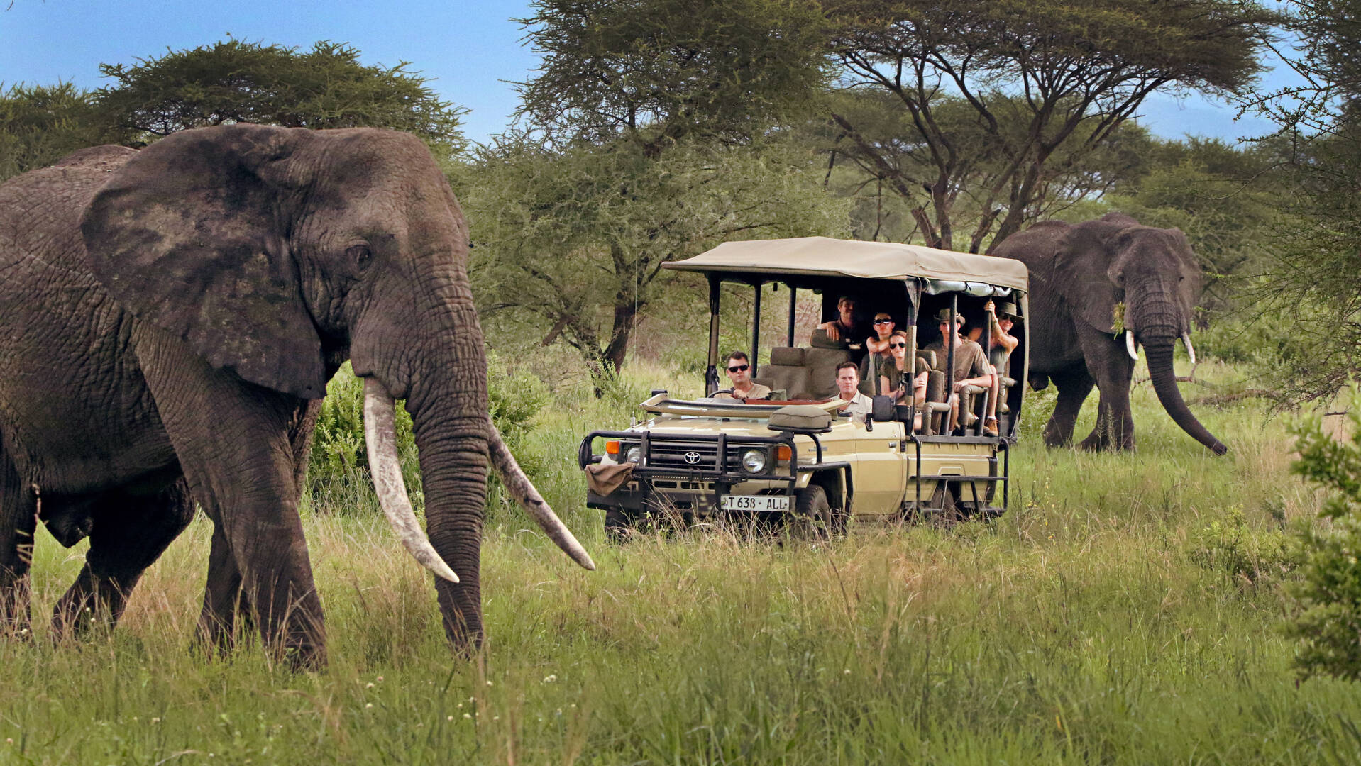 Ultimate Guide to Tanzania&rsquo;s Top National Parks in 2026: Serengeti, Ngorongoro, Manyara & Tarangire
