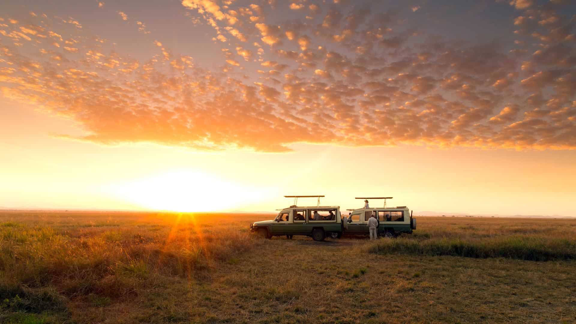 Top Destinations in Tanzania: Serengeti, Ngorongoro Crater and Zanzibar
