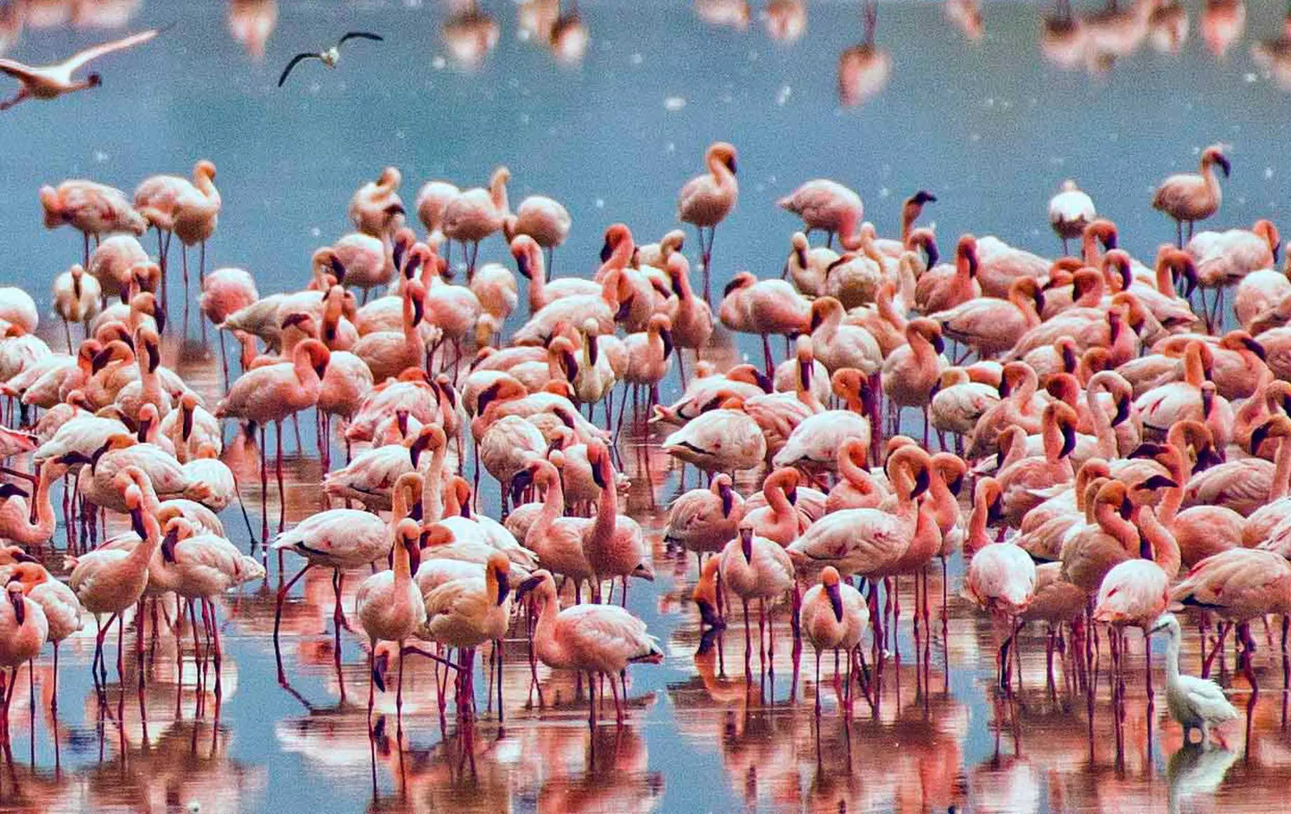 Top Destinations in Tanzania: Serengeti, Ngorongoro Crater and Zanzibar