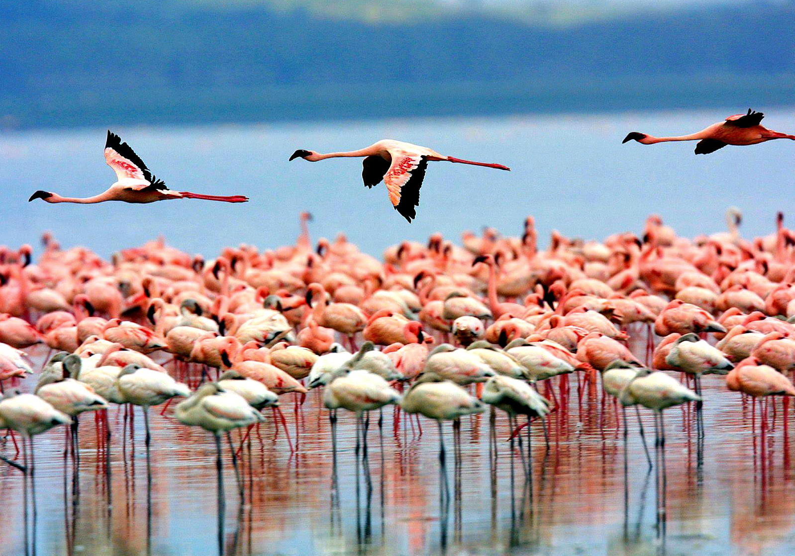 Best Places to Visit in October