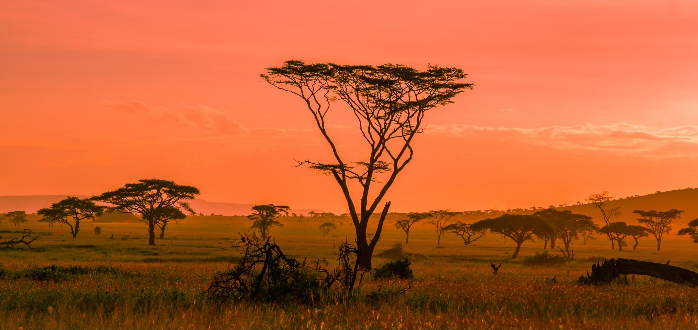 Best Places to Visit in October