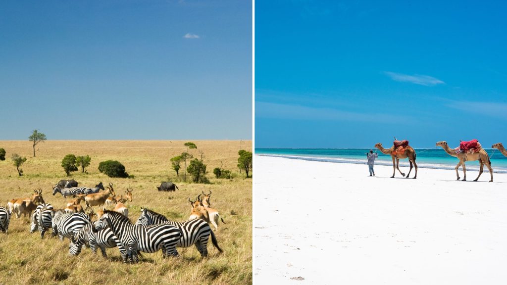 best-time-to-visit-zanzibar-beach.jpg