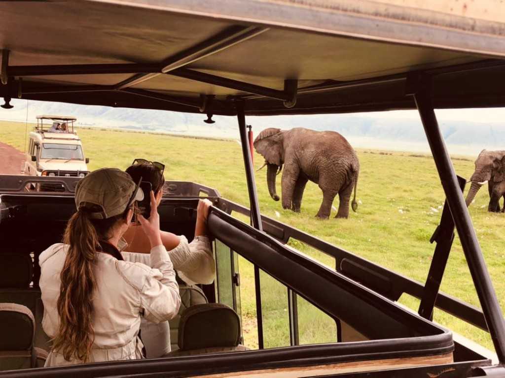 Migration Safari in Tanzania: An Unforgettable Experience in Serengeti National Park