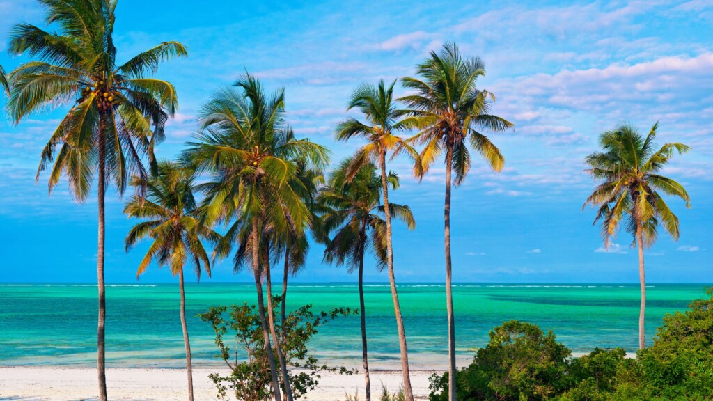 Serengeti National Park and Zanzibar Safari Package: The Perfect Bush and Beach Escape