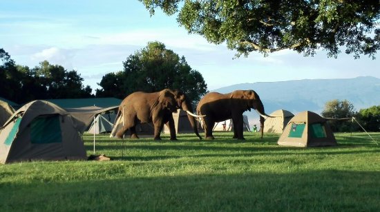 Affordable Tanzania Honeymoon: Romance and Adventure on a Budget