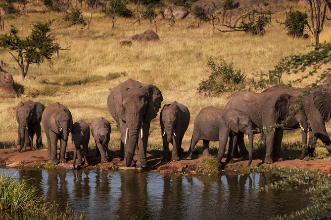 Ngorongoro Crater and Serengeti: Ultimate Safari Adventure in Tanzania