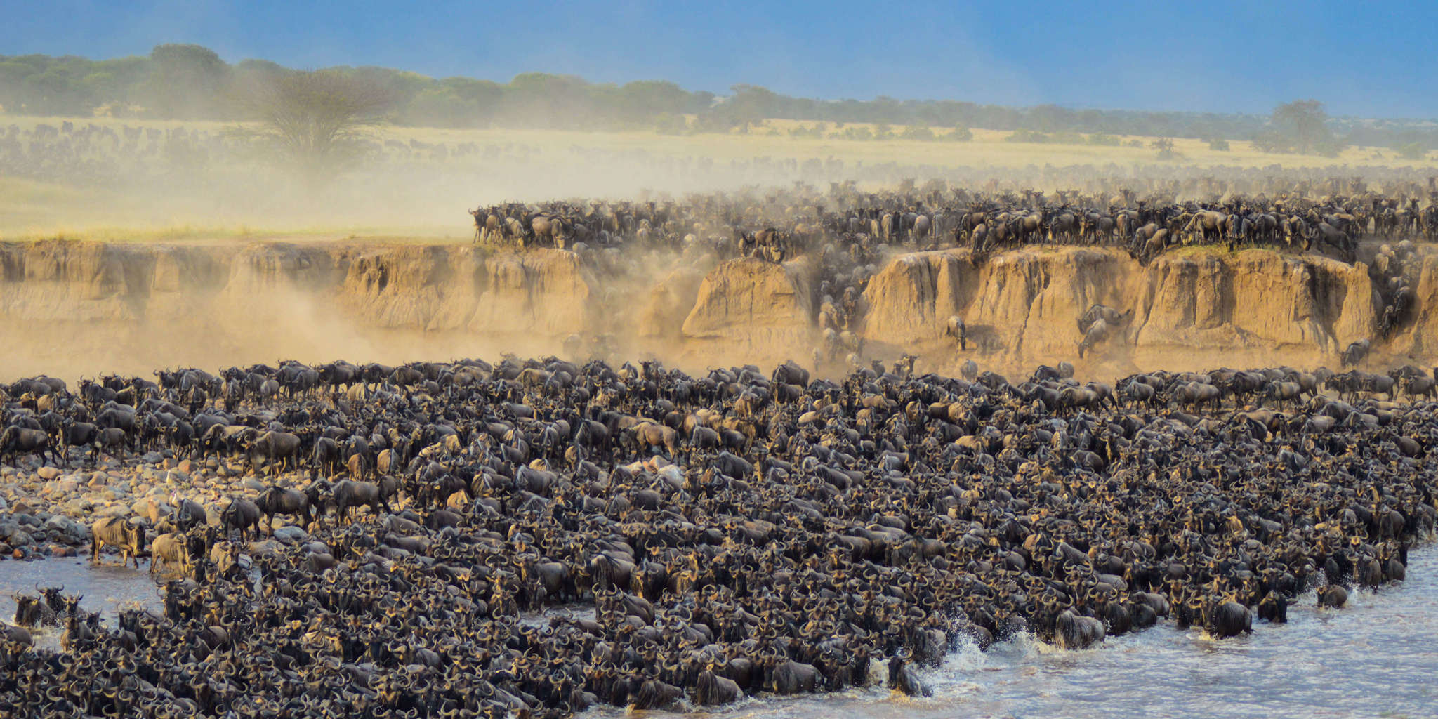 The Ultimate Guide: Timing Your African Great Migration Safari