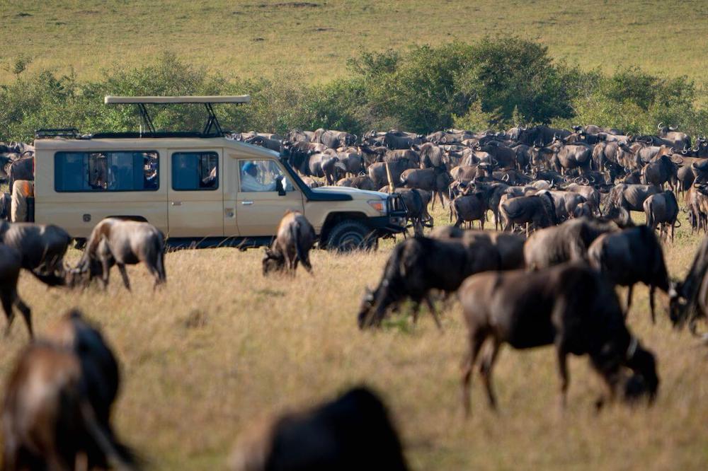 When Is the Best Time to Visit Ndutu?
