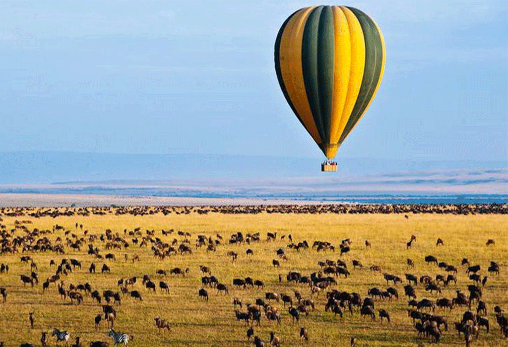 When to See the Great Migration in Tanzania 2026 | Serengeti Safari Guide