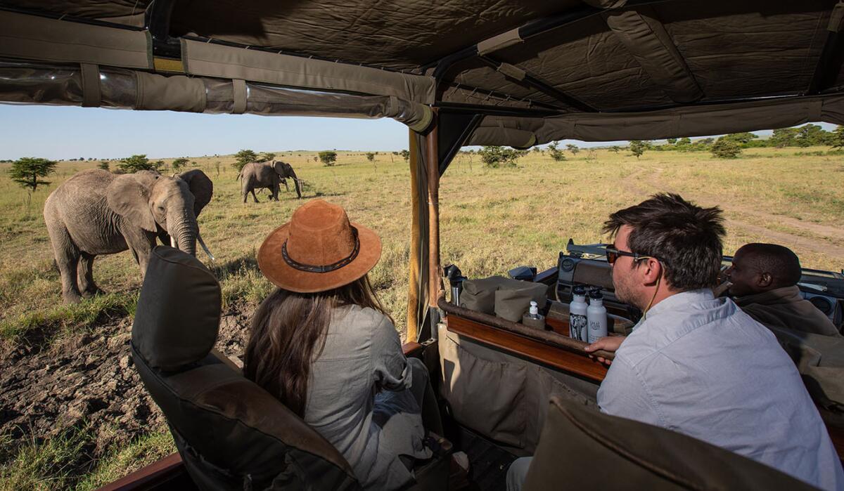 Why a Private Safari in Tanzania is the Ultimate Wildlife Experience